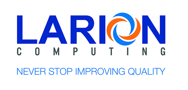 larion company, offshoring, dedicate outsourcing partner