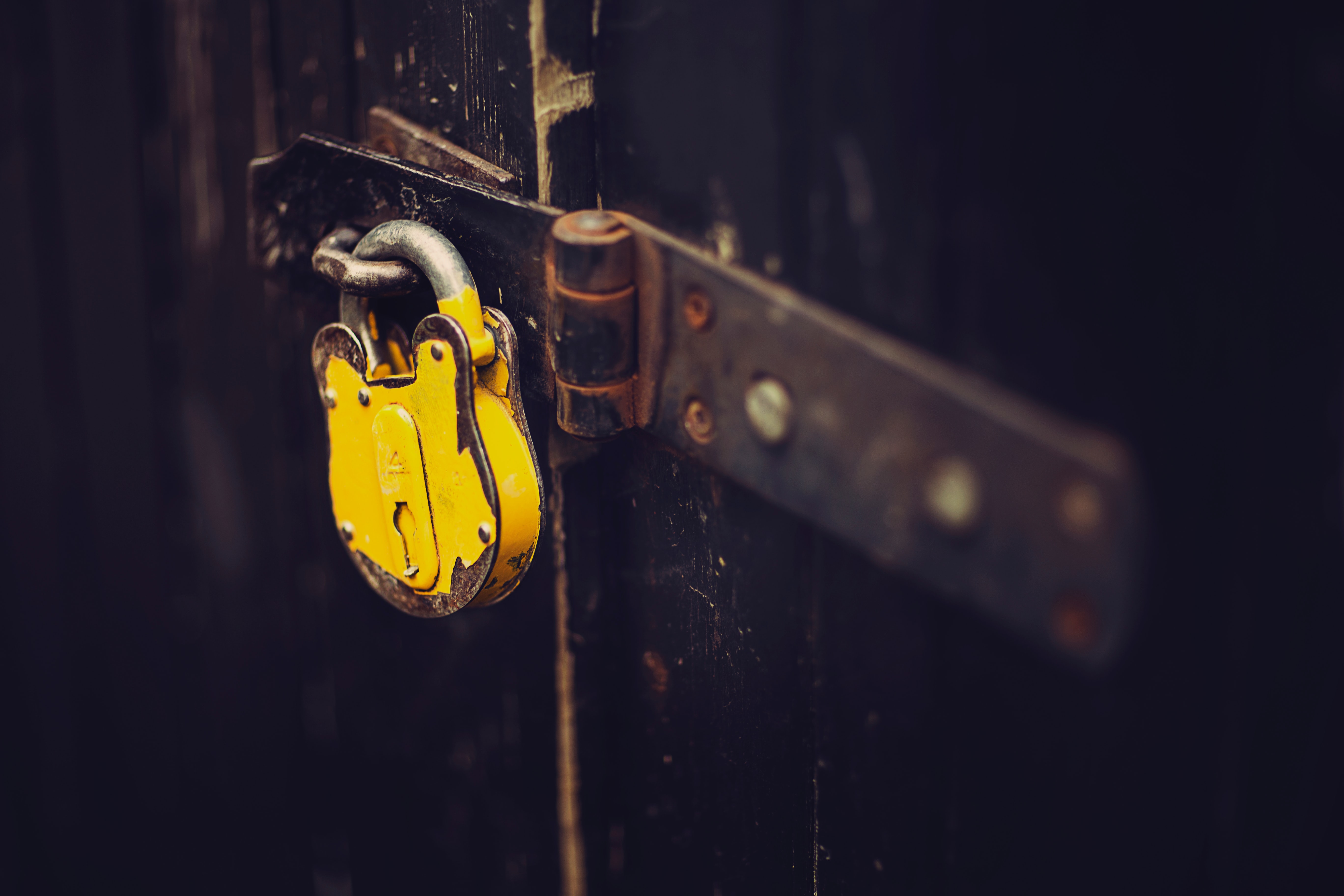 Enhanced security for information and data with in-house software development